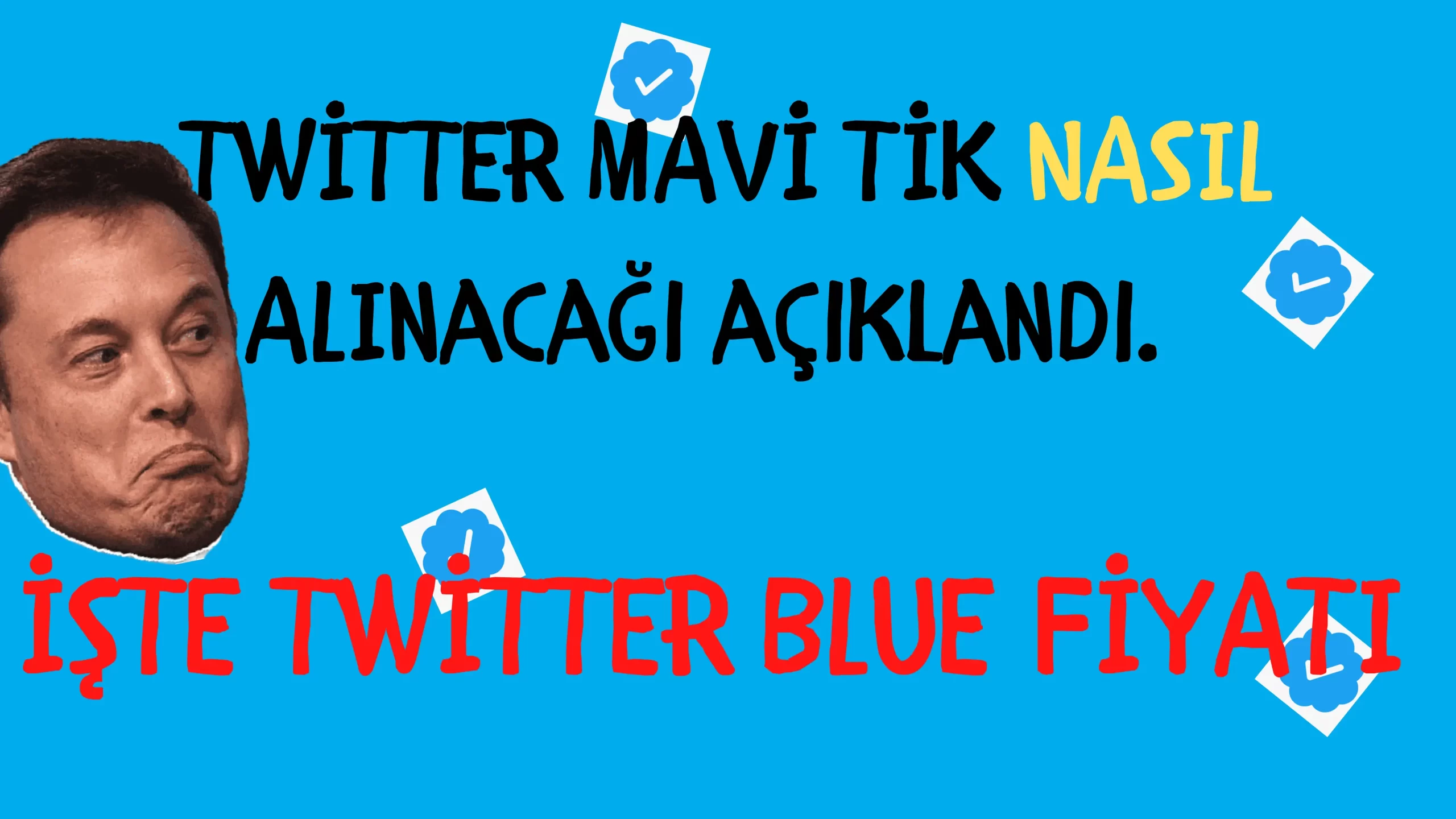 Twitter Blue Alma