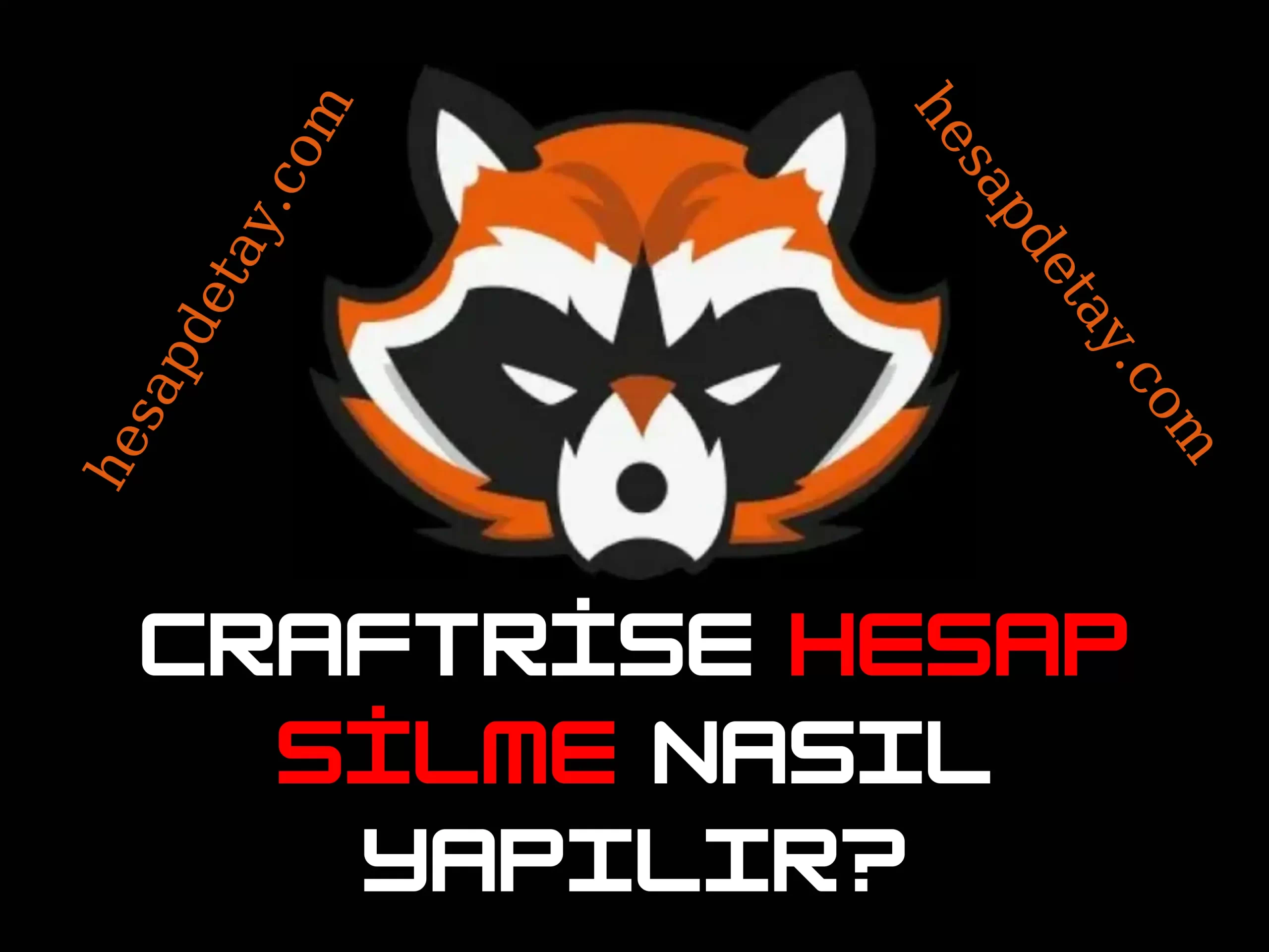 Craftrise Hesap Silme