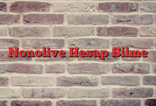 Nonolive Hesap Silme